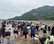 여름빛 물든 하동 섬진강, 재첩과 사람으로 가득 찼다