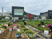 대전시, 대전광역푸드뱅크로 직접 재배한 감자 800kg 기부
