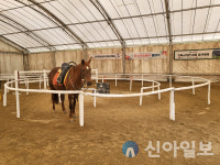 춘천시, 학생승마 체험 추가 모집… 내달 4일까지 접수