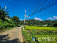 창녕군, ‘대합면 일원 도로환경 개선 사업’ 완료