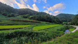 울진 금강송 산지농업시스템, 세계중요농업유산 등재 쾌거