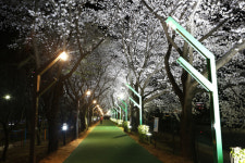 상주시, 북천 산책로에 쿨링포그 시스템 가동