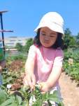 자연만큼 좋은 교구 없죠…부천 예술마을어린이집의 발도르프 교육