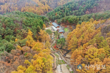 한국산림복지진흥원, 국가산림문화자산 황거 금광굴 활용