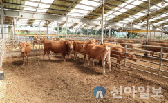 태안군, 무허가·미등록 축사 일제점검