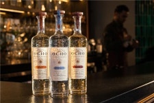 세계 최고의 바에 가면 보이는 그 데킬라 오초