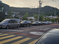 완도초등학교 일대, 주차난으로 아우성