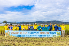 칠곡군, 프리미엄 쌀 재배단지 벼베기 행사 개최