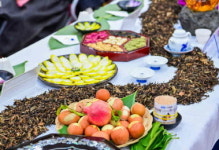 전국 차인들의 축제 ‘2025 진주 차식 경연대회’ 성료