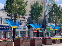 여주시, 은행나무 열매 악취 'STOP'
