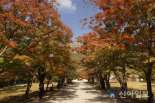 국립공원공단, 오대산 선재길 등 가을 명품 국립공원길 선정