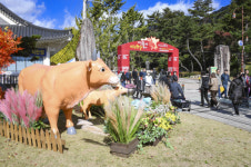 문경약돌한우축제, 가을 관광객 13만여명 방문