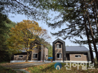 정선군, 46억 투입 도사곡 휴양림 새 단장 완료