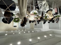 서초구, 1인가구 맞춤형 프로그램 ‘싱글싱글 문화교실’ 큰 호응