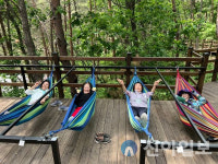 국립춘천숲체원 국립양평치유의숲. 산림치유 프로그램 본격 운영
