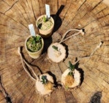 월아산 숲속의 진주, 2026년 주말 생활목공 운영