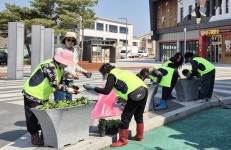 양구 국토정중앙면, 봄꽃 식재 행사…주민 참여로 마을 경관 개선