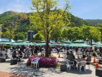 봄의 향연 홍천 산나물축제ㆍ팔봉산 당산제 막 올랐다