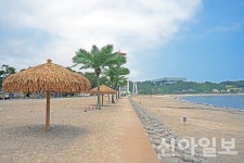 경주, 연꽃과 동해 바다로 여름 관광객 맞이…도심·해변 매력 한가득