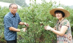 성공적인 귀농, 강원도에서 답을 찾자