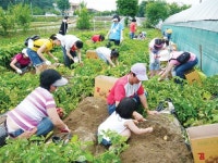 이천의 농촌체험관광을 한눈에…