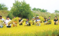 이천의 농촌체험관광을 한눈에…