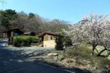 자연휴양림-농촌체험휴양마을 연계, 재미와 힐링을 한번에!