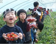 말하는 대로…농업이라면 가능합니다