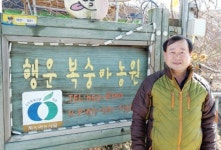 예천 복숭아 최고 품질 자부합니다