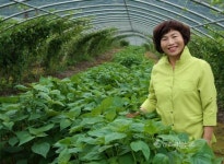 평창군 농산물 판로 확보에 집중합니다