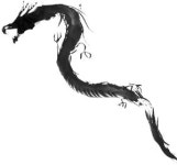 음지(陰地)