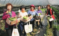식사랑 농사랑 바른 먹거리 보급과 도농교류 일석이조