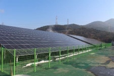 농협, 태양광 발전시설 본격 가동