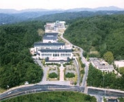 할머니의 무릎교육, 이야기할머니로 부활
