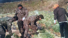 평창 대화면생활개선회, 장병들과 독거노인 도와