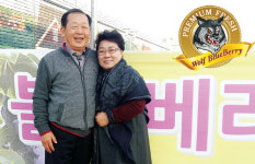 인생 이모작 블루베리와 함께…귀농 2년 만에 억대 농부로