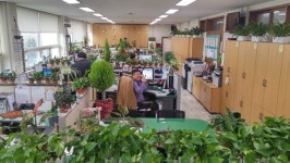 강원도, 그린힐링 오피스 분야 특별상