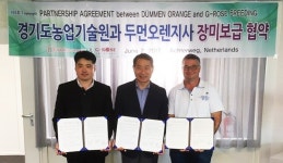 경기도 신품종 장미, 네덜란드로 수출