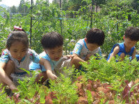 텃밭으로 교육효과와 힐링까지~