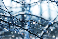 겨울을 보내는 책읽기