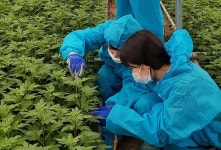 경기도 스마트팜, 빅데이터 정보 구축 시동