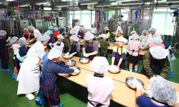 연구 현장 보고 치즈도 만들고