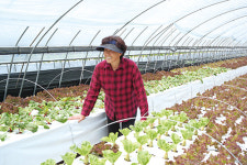 3대 가족사랑 쌈채소로 꽃피우다