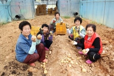 실버세대, 공동농장으로 인생 이모작