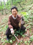 영마루산양삼산약초산야채농원 | 청정자연, 유기농 산양삼을 품다