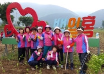 평창 평창읍생활개선회, 꽃묘심기 봉사활동