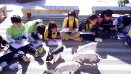 농촌에서 즐기는 오감만족 여름휴가