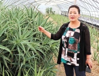 마을주민과 효소원 설립해 일자리 창출