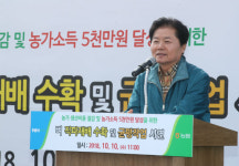 직파재배로 농가소득↑생산비↓