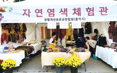가을빛 담아 천연염색 체험해요~